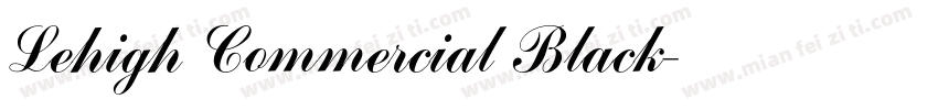 Lehigh Commercial Black字体转换